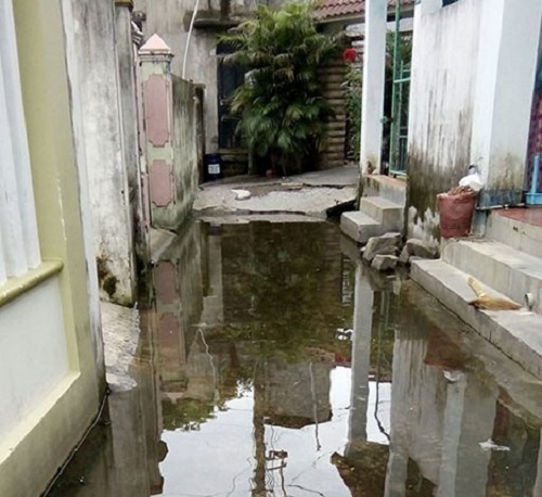 Thông tin từ đường dây nóng