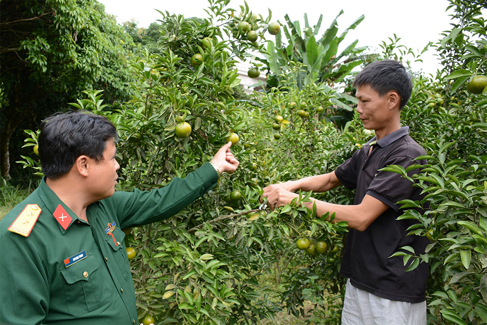 Lính lâm trường nơi biên cương Đông Bắc
