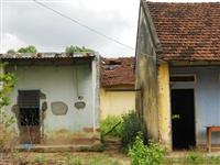 Thông tin từ đường dây nóng
