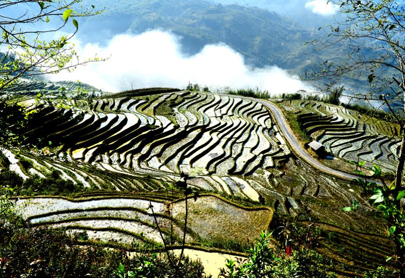 “Suối” bậc thang “chơi” cùng mây.