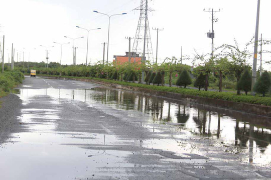 Thông tin từ đường dây nóng