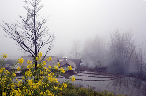 Sa Pa và Đà Lạt lọt Top 10 điểm đến mới nổi của châu Á 