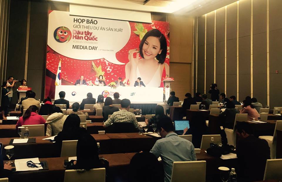 Dâu tây Hàn Quốc chính thức được nhập khẩu vào Việt Nam 