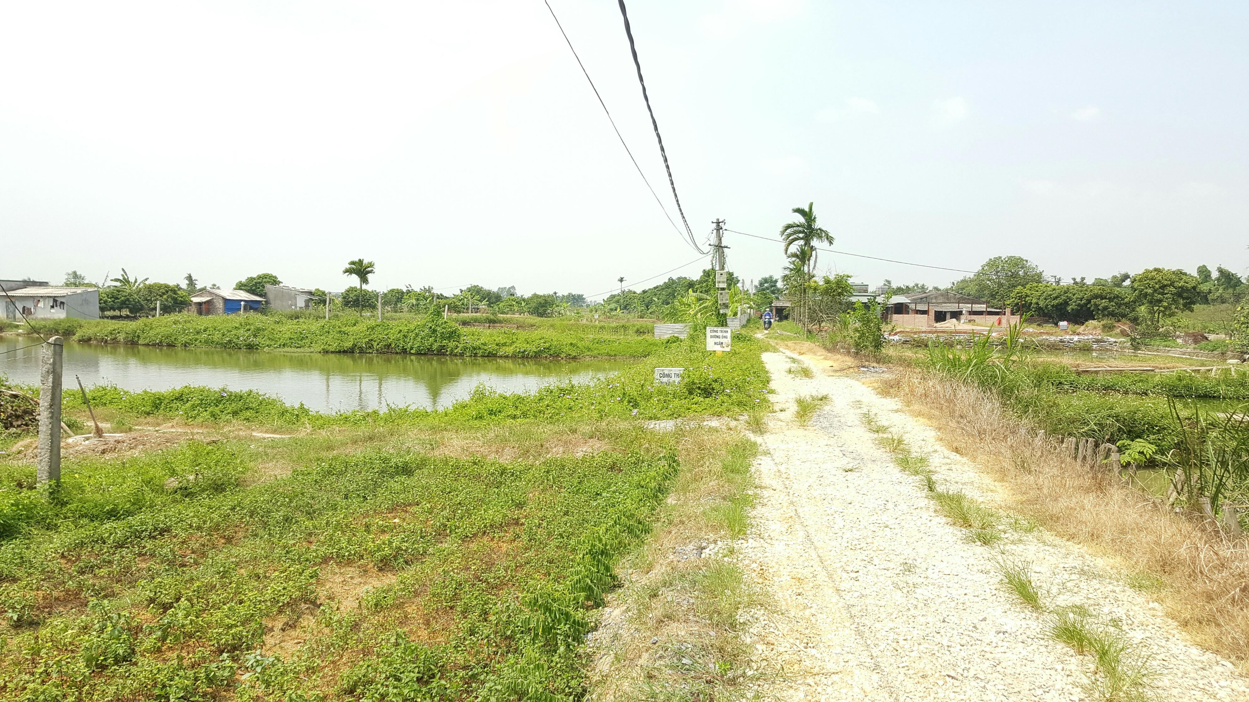 Chống hình thức, cần cách làm thực chất