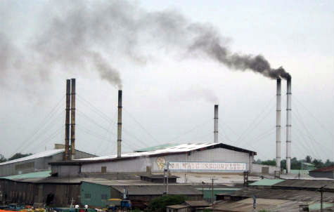 Thông tin từ đường dây nóng
