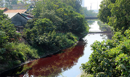 Thông tin từ đường dây nóng