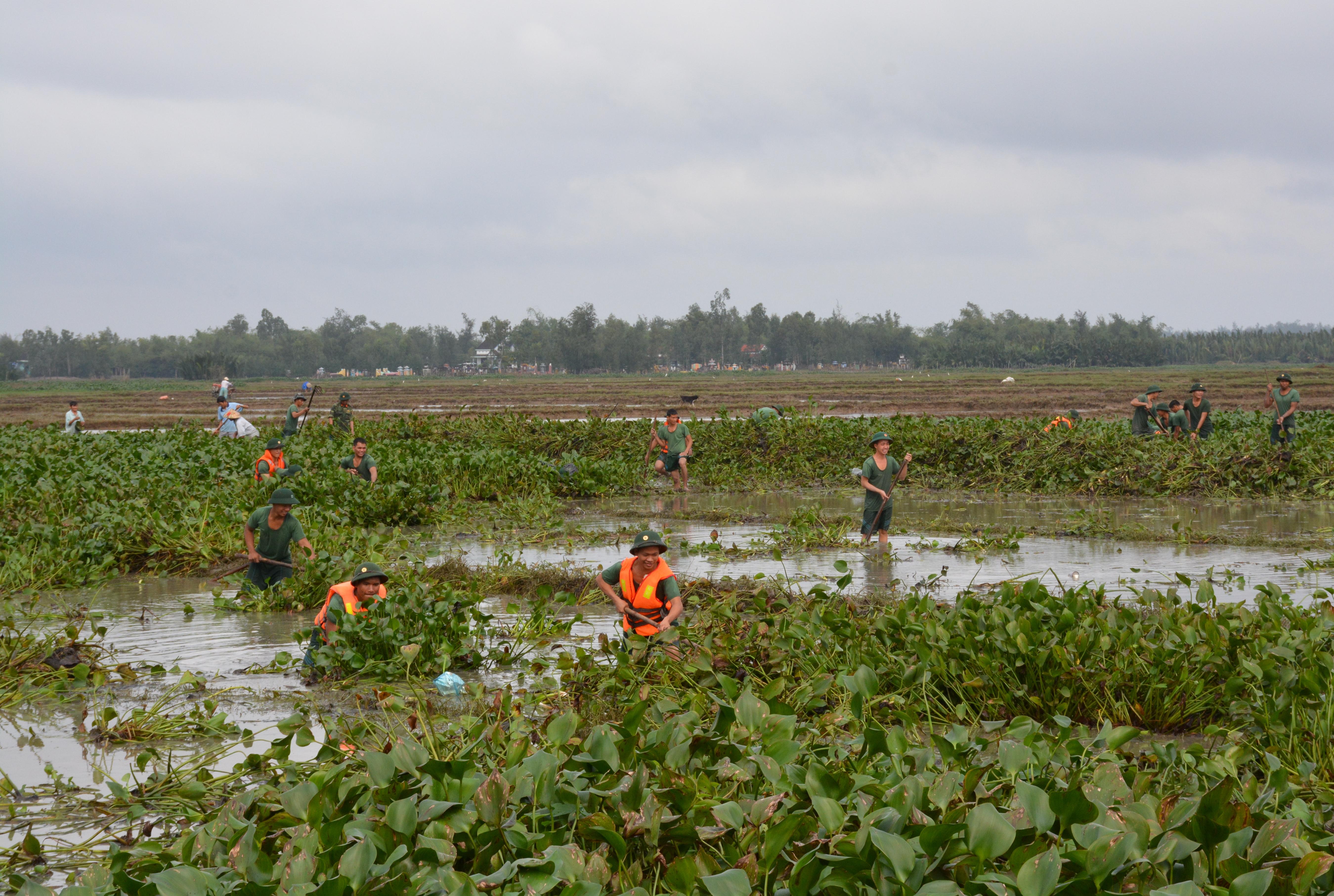 Bộ đội Cụ Hồ trên cánh đồng sau lũ                         