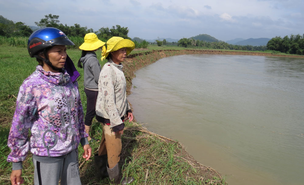 Thông tin từ đường dây nóng
