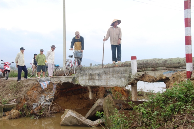 Thông tin từ đường dây nóng
