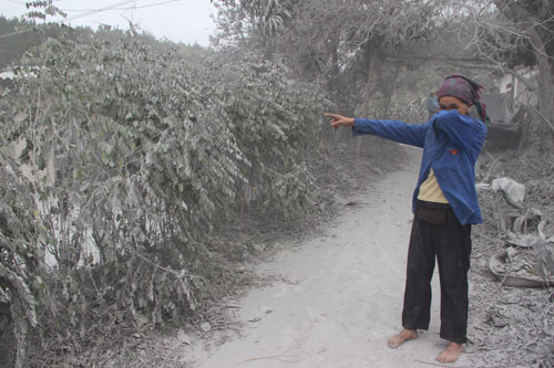 Thông tin từ đường dây nóng
