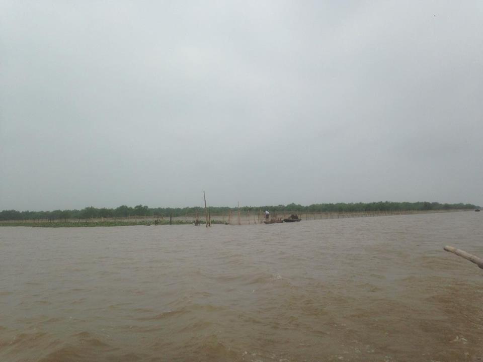 Ai hậu thuẫn cho nạn “nhảy dù” chiếm bãi triều trái phép?