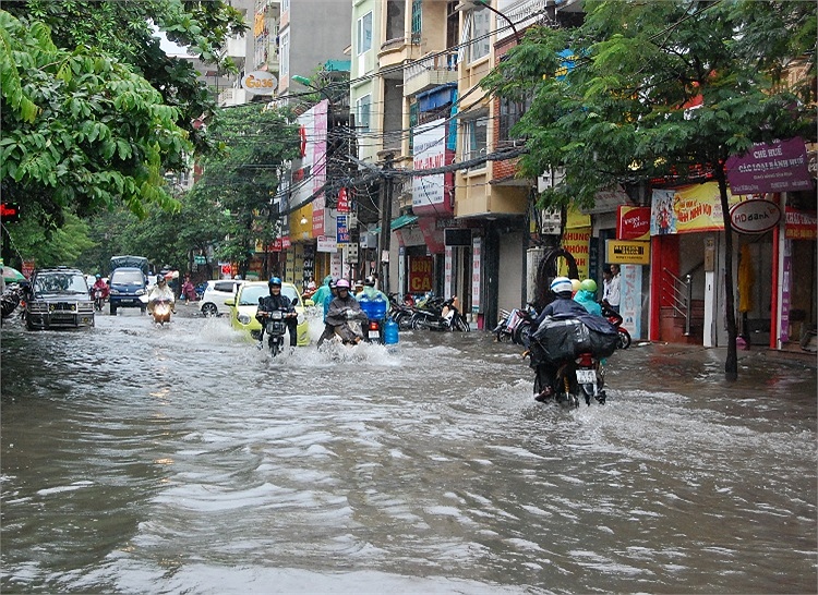 Thông tin từ đường dây nóng