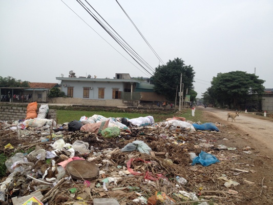 Thông tin từ đường dây nóng
