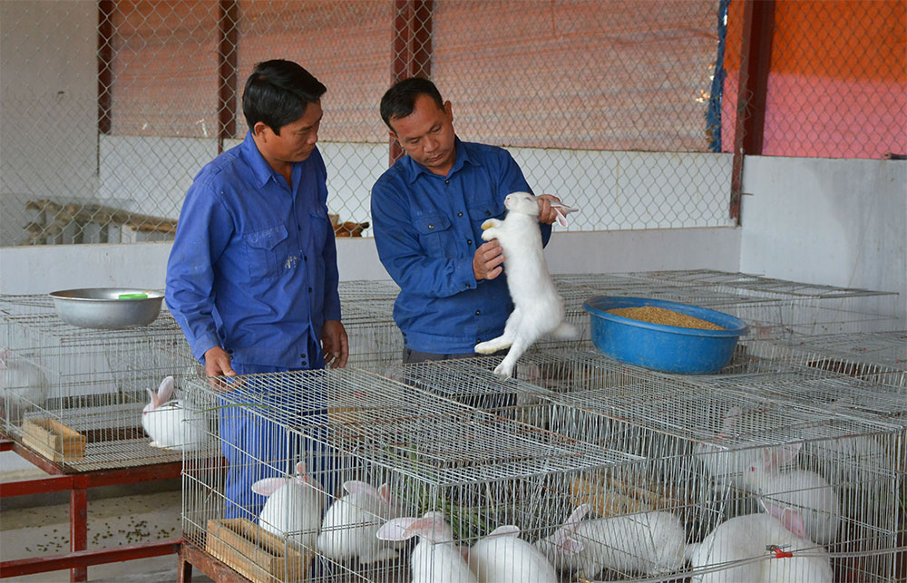 Dấu ấn đơn vị điểm
