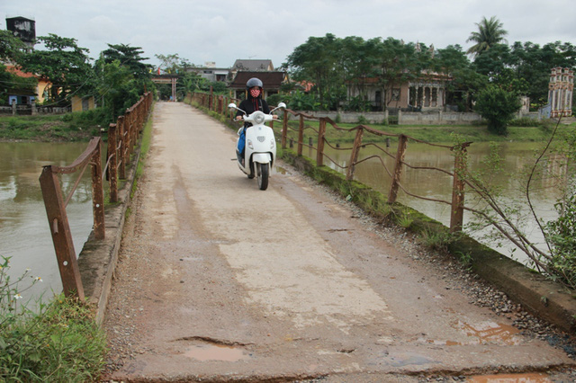 Thông tin từ đường dây nóng
