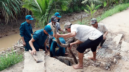 Lễ xuất quân Tết Quân - Dân năm 2017