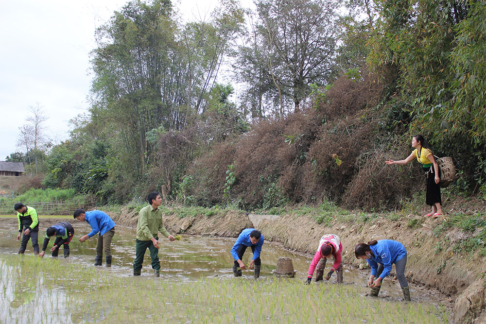 Mang xuân đến với đồng bào
