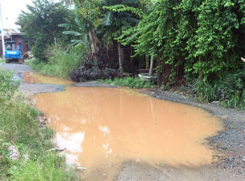 Thông tin từ đường dây nóng
