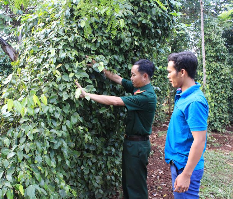 Sức xuân nơi biên giới
