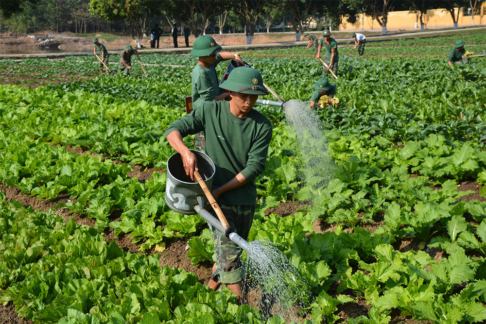 Vừa “bắn trúng” vừa tăng gia tốt
