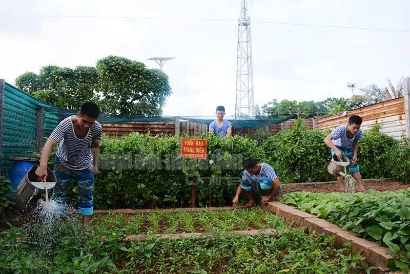 Mặc cho khí hậu khắc nghiệt, vườn tăng gia trên đảo Sơn Ca vẫn được chăm sóc xanh tươi.