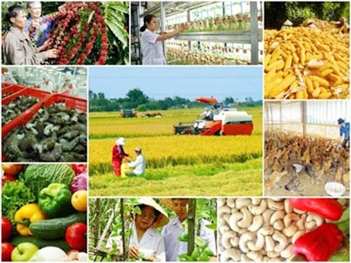 DOANH NGHIỆP VÀ NÔNG NGHIỆP
