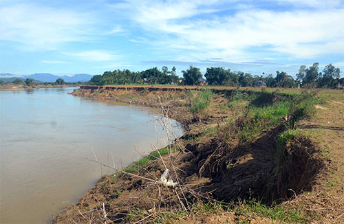 Thông tin từ đường dây nóng
