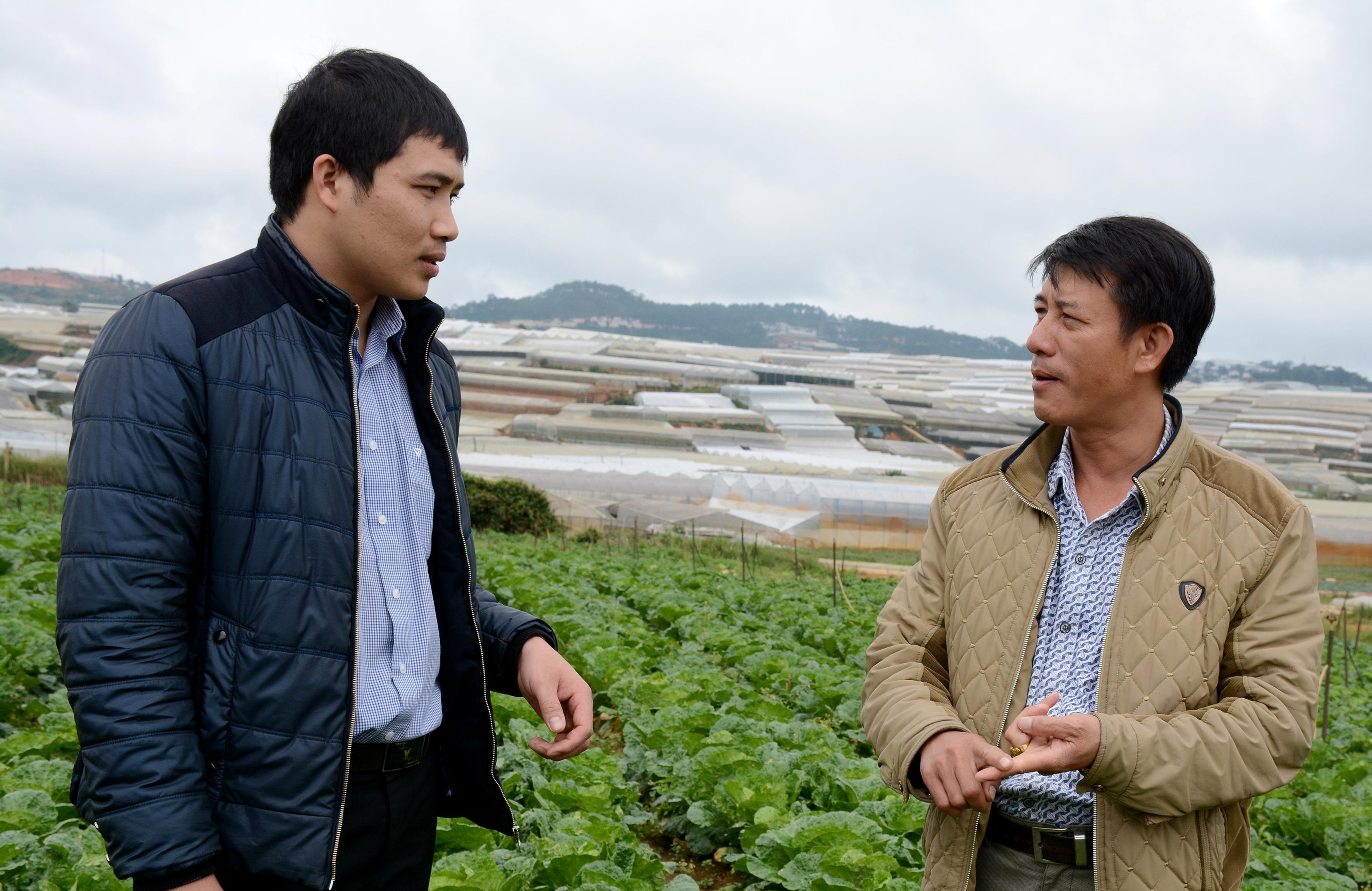 Anh chủ nhiệm dưới chân núi Hòn Bồ