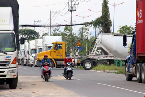 Thông tin từ đường dây nóng