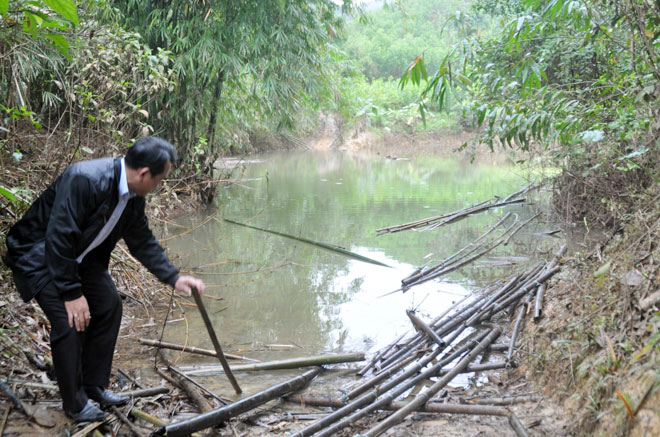 Thông tin từ đường dây nóng
