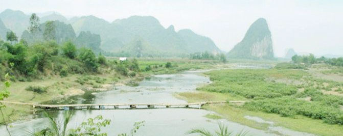 Bánh chưng nhân cá
