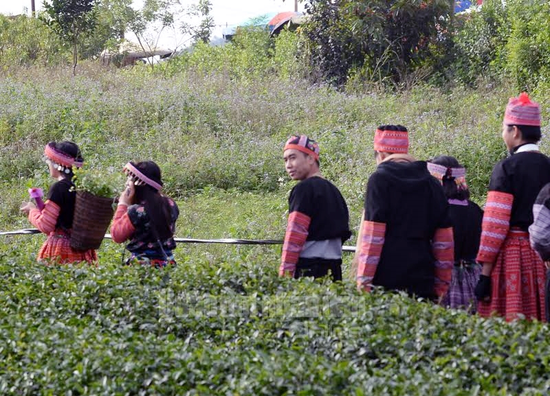 Các chàng trai, cô gái rực rỡ trong trang phục dân tộc Mông du lịch trên đất cao nguyên Mộc Châu.