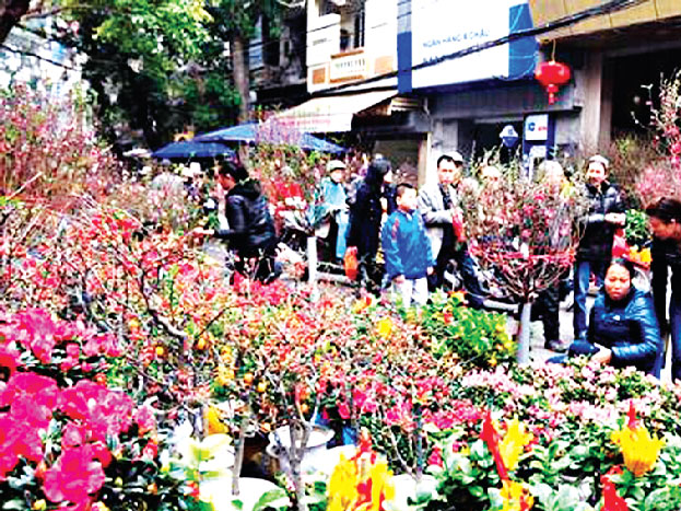 Cành hoa bích đào