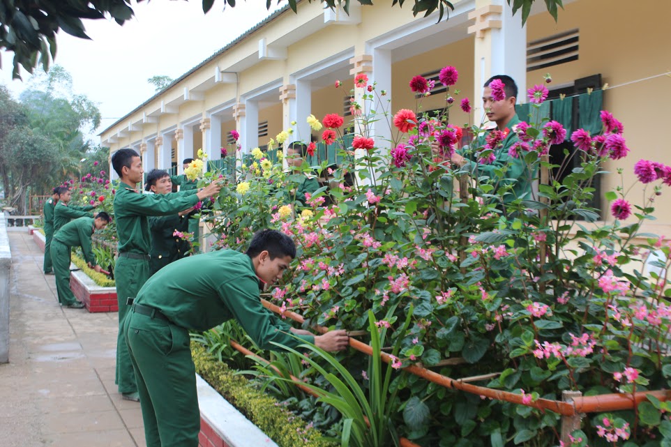 Chăm sóc bồn hoa, cây cảnh.
