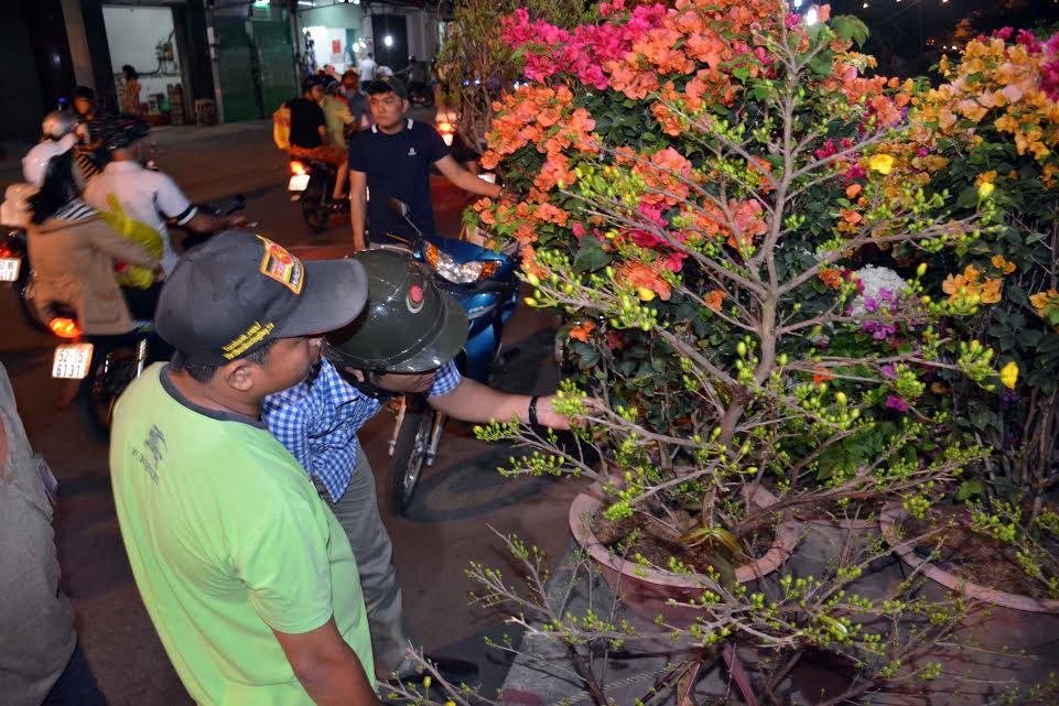 Hoạt động mua bán hoa cảnh càng sôi nổi khi trời về chiều.