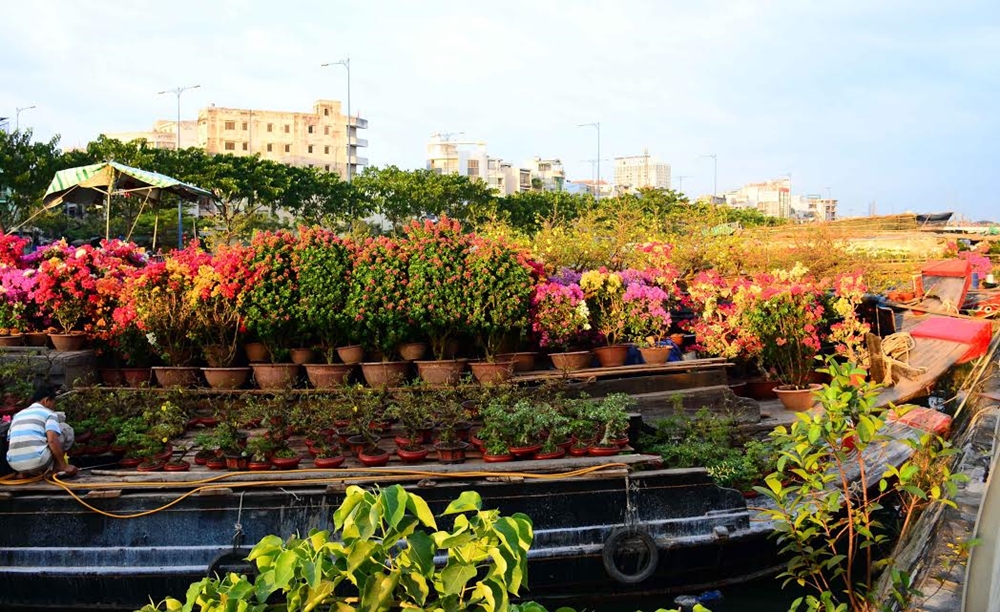 Thuyền luôn đầy ắp những loại hoa xuân rực rỡ.