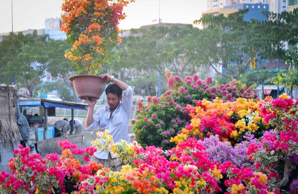 Các nhà vườn chuyển hoa từ thuyền lên bờ để bày bán.