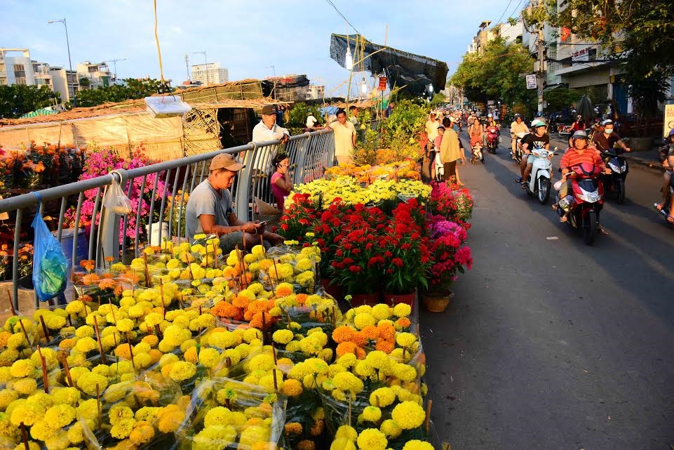 Các loại hoa Tết rực rỡ tô đẹp thêm ngày Xuân ở bến Bình Đông.