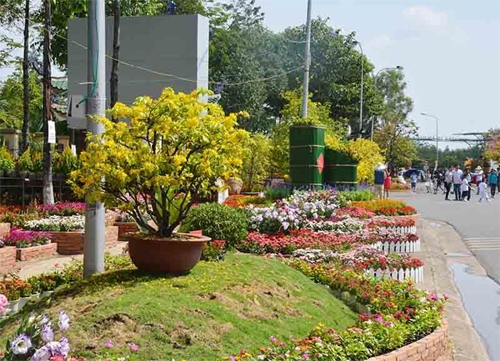 Đường hoa Nguyễn Văn Trị trang hoàng lộng lẫy.