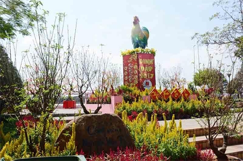 Một góc đường hoa Nguyễn Văn Trị.