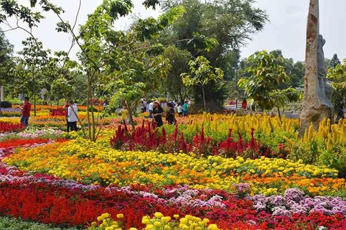 Rực rỡ sắc màu hoa xuân Trấn Biên.