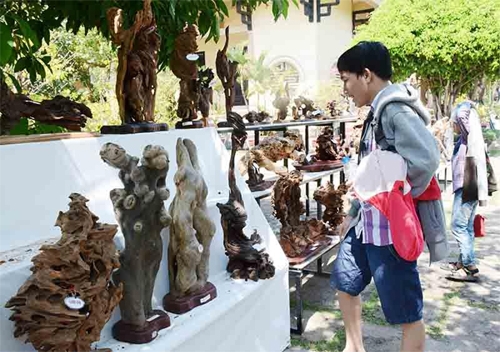 Triển lãm gỗ tự nhiên với nhiều hình thù các con vật kỳ thú trưng bày tại Văn miếu Trấn Biên.