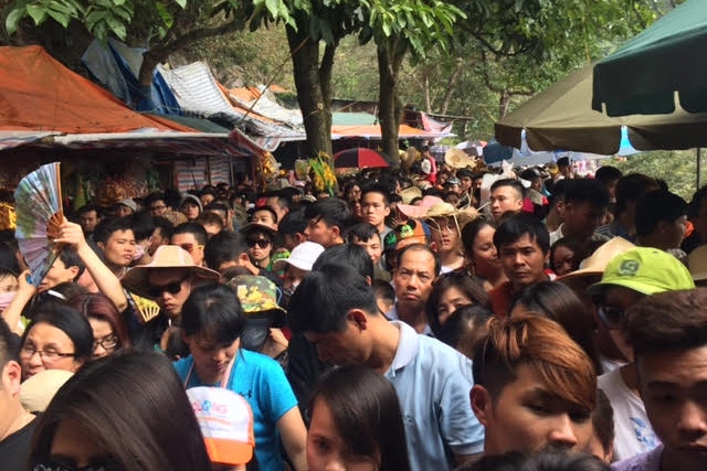 Thông tin từ đường dây nóng
