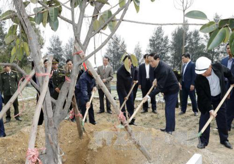 Chủ tịch nước thăm làm việc, chúc Tết tại tỉnh Quảng Ninh