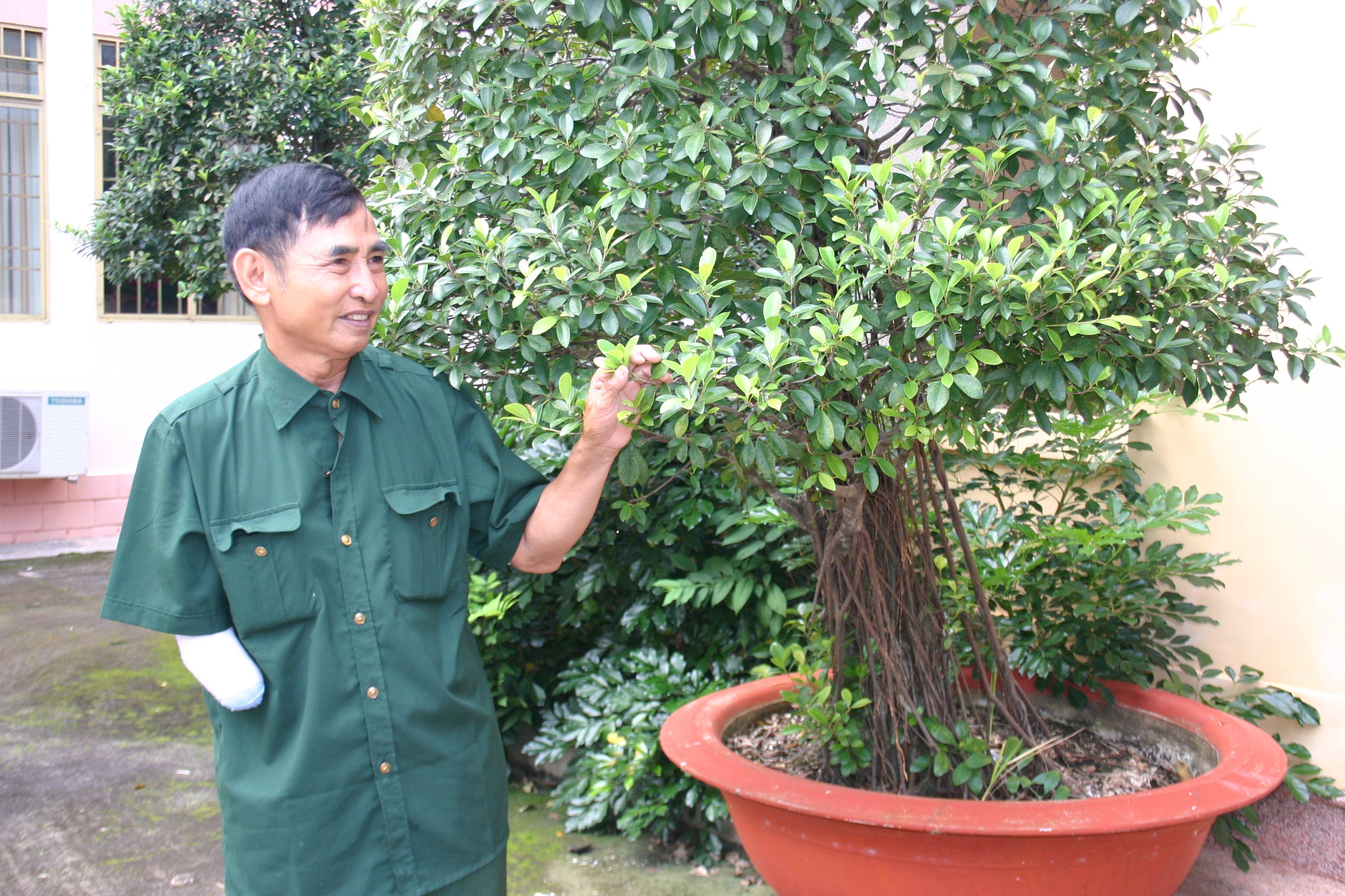 Cánh tay thiện nguyện