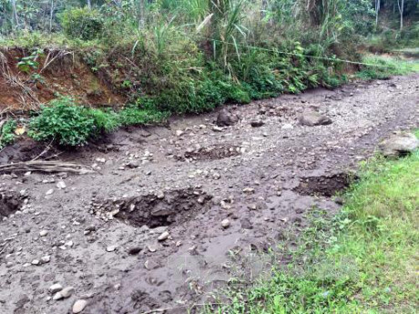 Thông tin từ đường dây nóng
