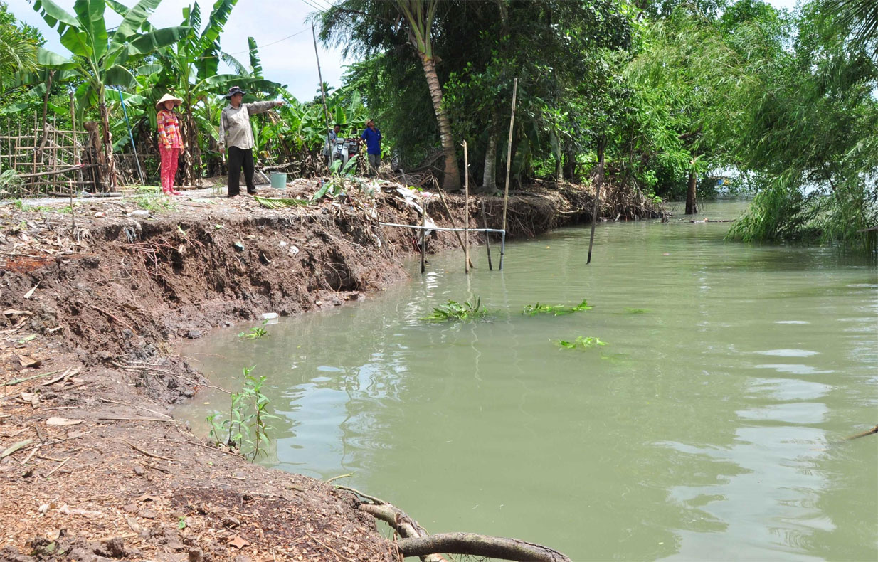 Cần xây dựng chiến lược về quản lý và sử dụng đất hiệu quả