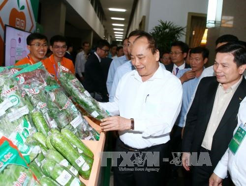 HIỆU QUẢ TỪ NÔNG NGHIỆP CÔNG NGHỆ CAO