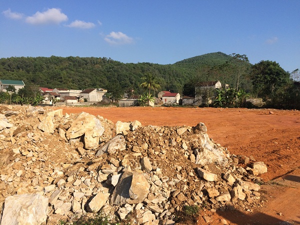 Thông tin từ đường dây nóng
