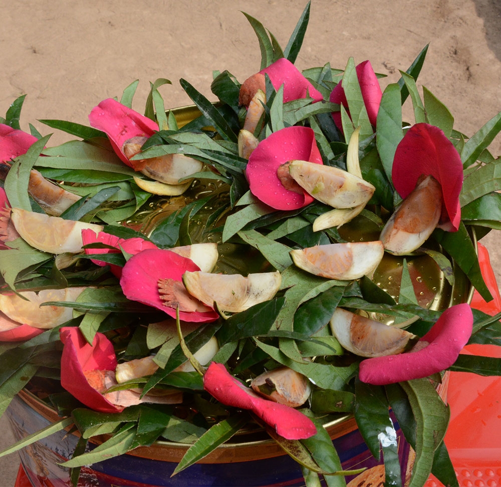 Cánh phượng mỏng tang, xanh biếc, miếng trầu càng thắm đỏ, cay nồng trong miệng như gia vị để tình duyên càng đọng, càng say, càng nồng.